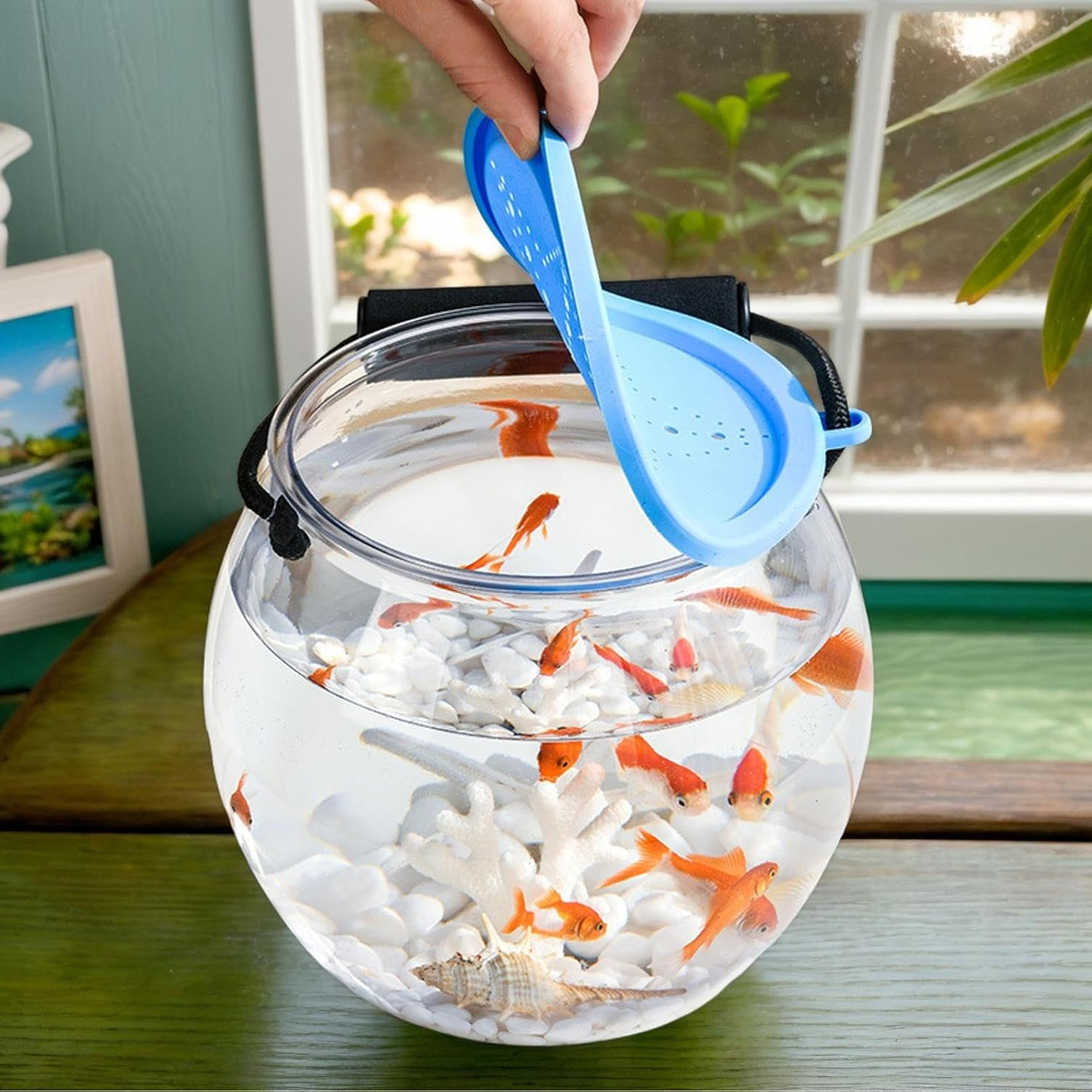 Fish Transport Container &ndash; Clear Travel Tank, Mini Aquarium Box | Lightweight Transparent Carrier for Children Pets Home Office Beach Garden, Portable Aquatic Habitat Decoration image number 5