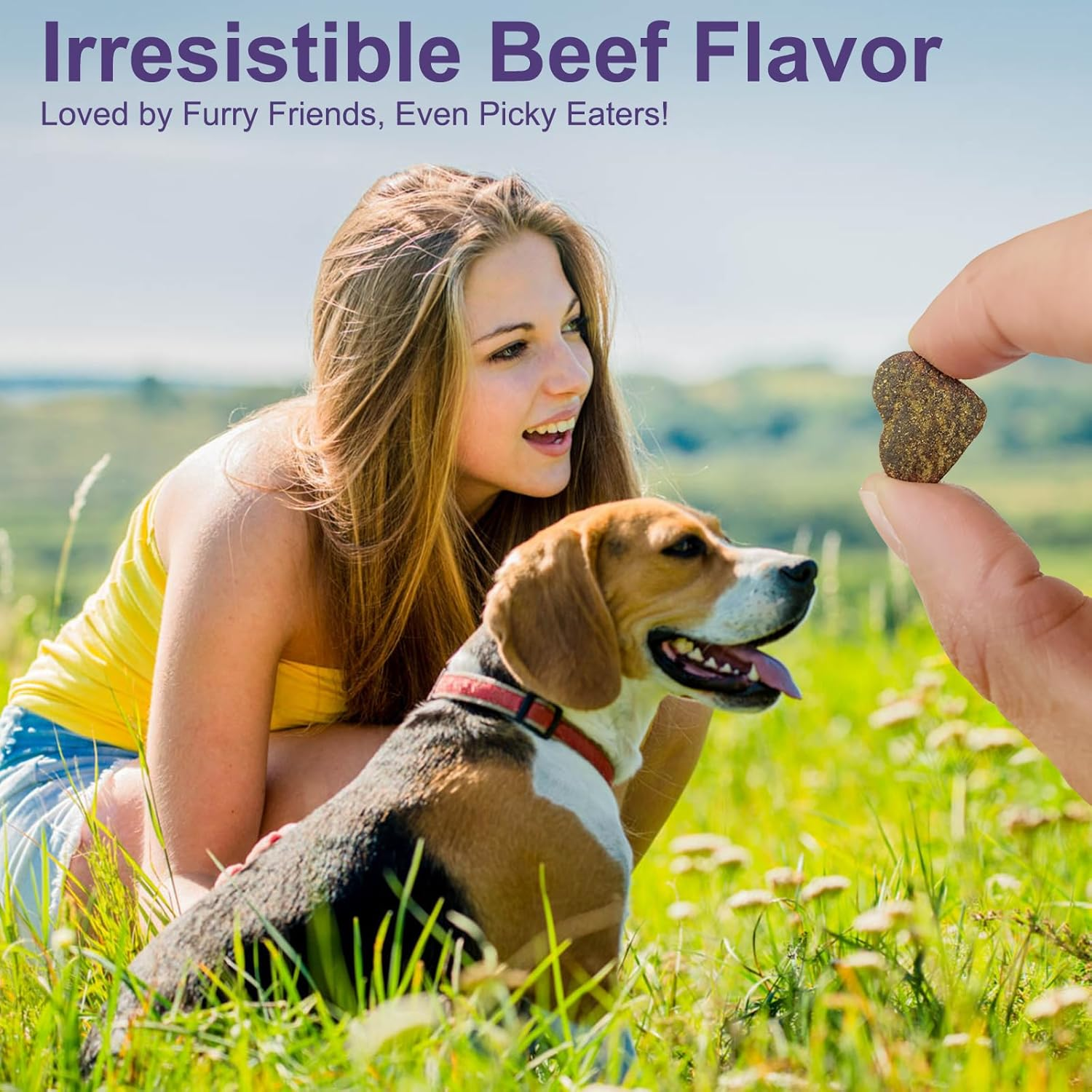 Dog Allergy Relief Chews,150 PCS Itchy Skin Relief Immune Treats with Omega 3 Fish Oil,Turmeric Probiotics for Dogs Itching,Skin and Coat Health for Dogs Itching, Licking & Separation