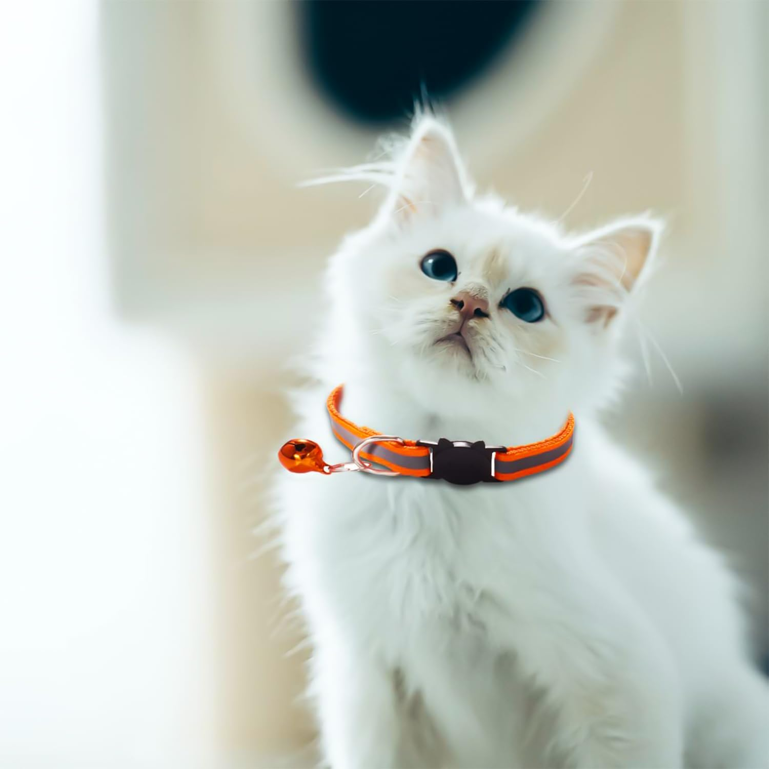 Cat Collar, Pack of 6 Collars Cat Collars with Safety Clasp, Pet Collar, Dog Collar, Cat Collars with Bell, Reflective Cat Collar, Adjustable image number 3