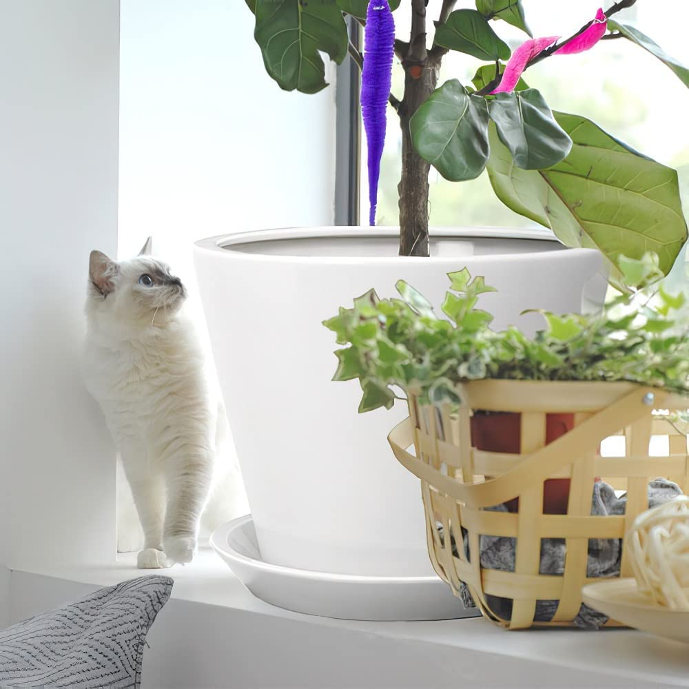 60 Pcs Magic Twisty Worm Wiggly Twisty Fuzzy Worms on a String Magic Worm Toys for Party Supplies,12 Colors&hellip; image number 6