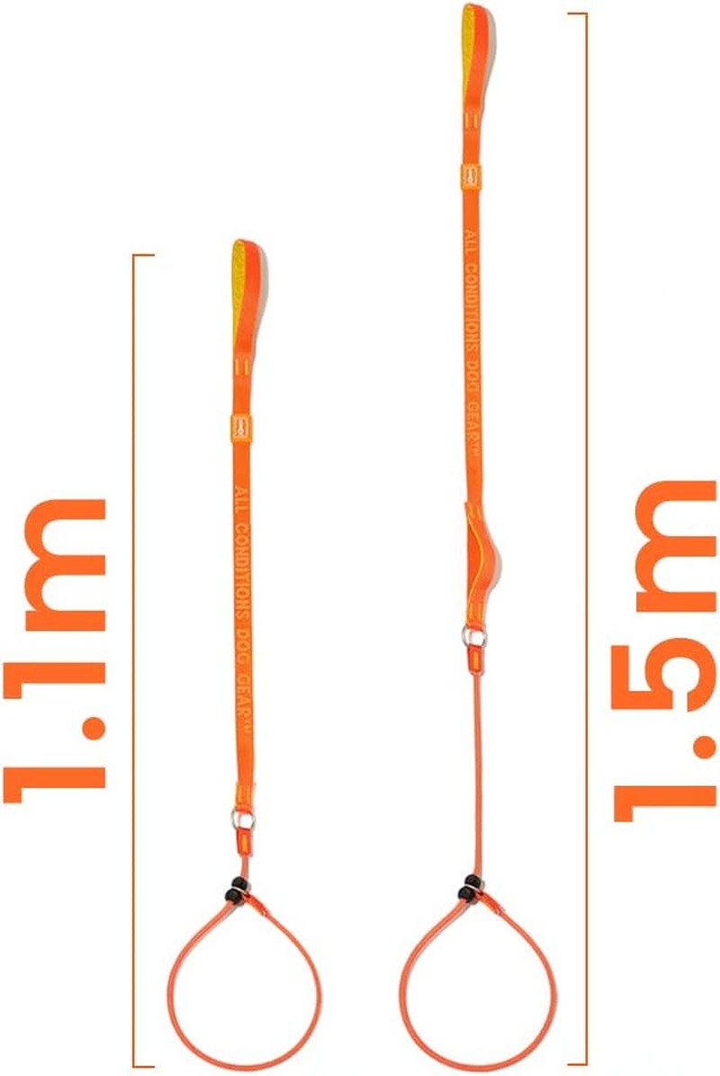 HOWGO Dog Slip Lead Dog Leash,Training Leash,Cinch Leash, No-Pull Slip Leash and Collar,Heavy Duty&Durable,Padded Handle,For All Breeds(Green, 3.6FT) image number 5