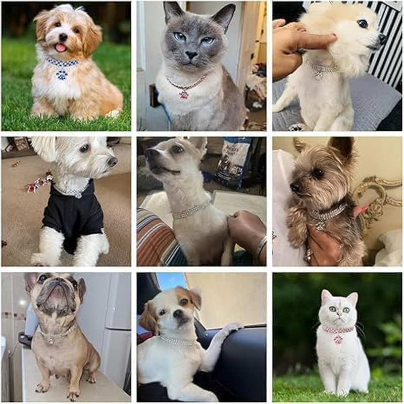 Bling Dog Necklace Collar for Small Dogs Rhinestone Puppy Necklace Girl Cute Sparkly Glitter Crystal Diamond Cat Collar for Kittens (White, S) image number 4