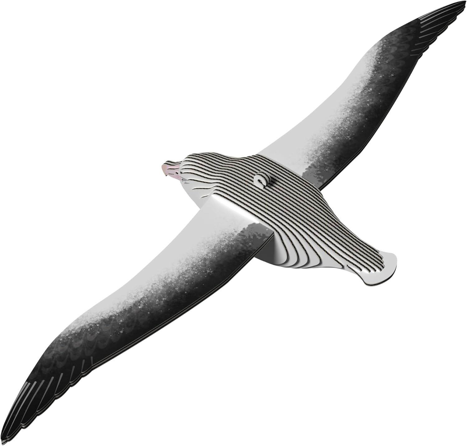 EUGY 097 Royal Albatross 3D Puzzle - 25 Piece Eco-Friendly Educational Toy Puzzle for Boys, Girls & Kids Ages 6+ image number 4