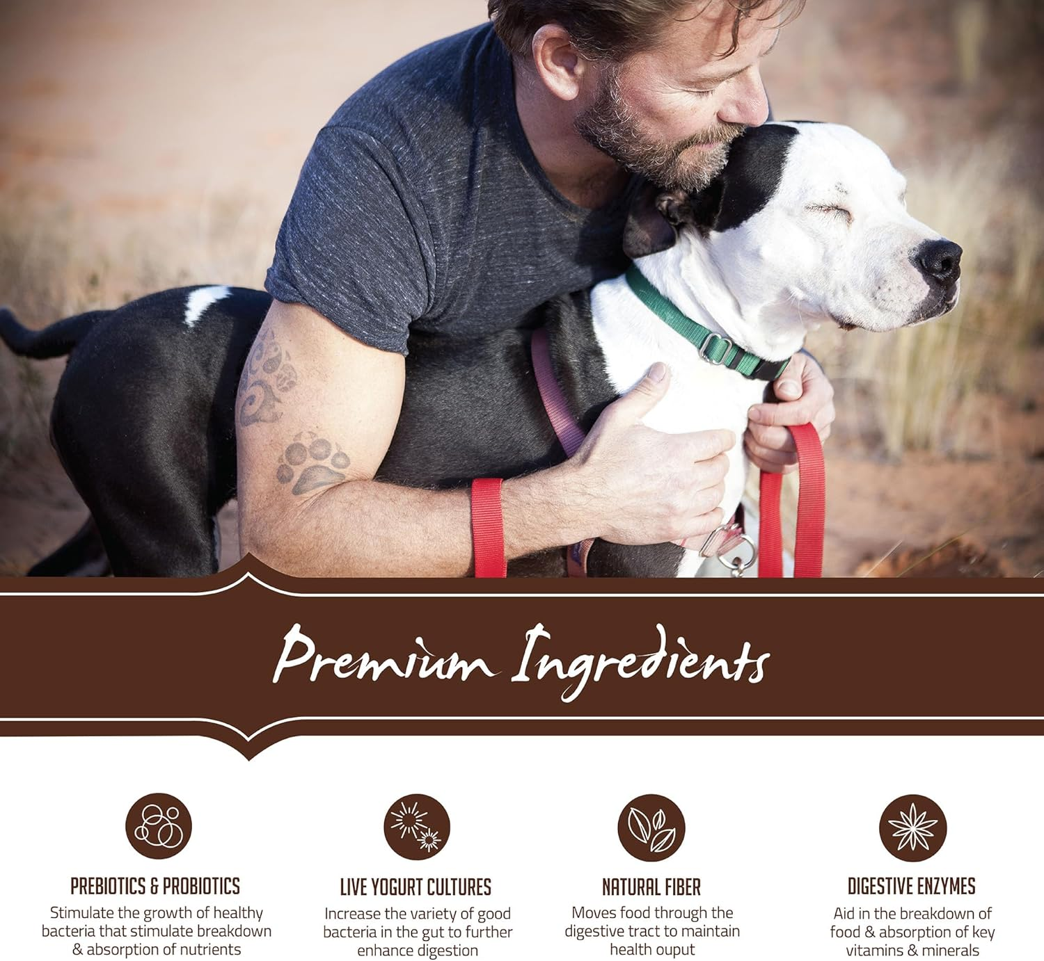 Holistic Select Natural Grain Free Dry Dog Food, Adult & Puppy Salmon, Anchovy & Sardine Recipe, 10.88Kg Bag