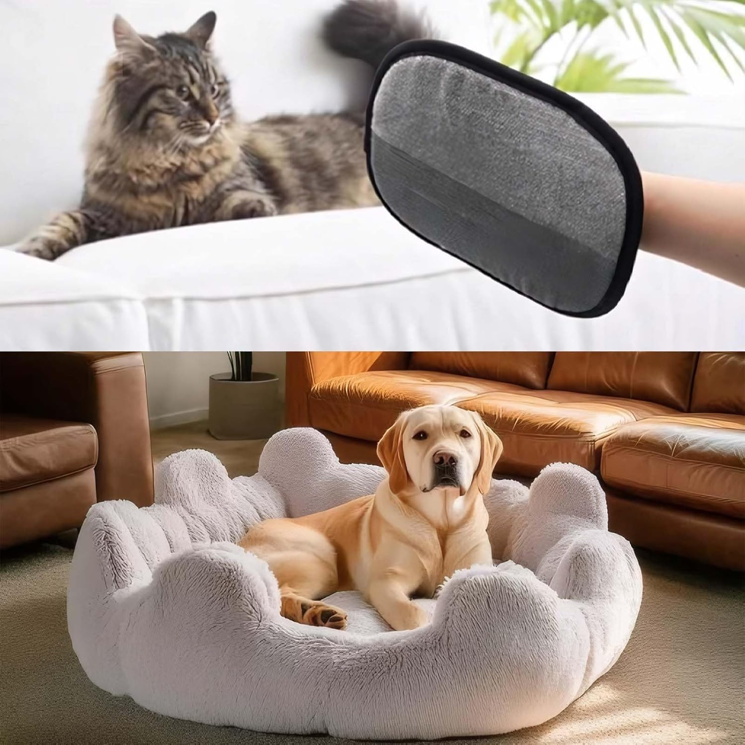 Lizihaowu Pet Hair Remover, Pet Grooming Gloves, Cat Hair Glove, Two-Way Static-Cleaning (1Pcs) image number 1