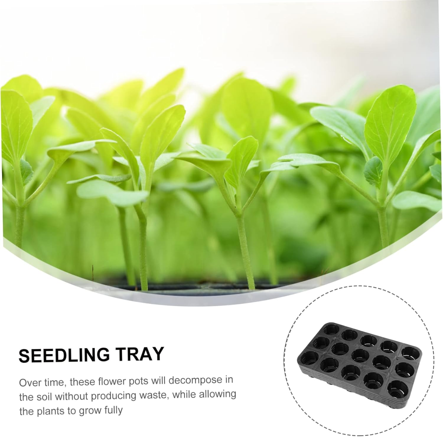 BCOATH 5 Pack Pp Starting Trays Greenhouse Planting Trays for Fruits Sowing Supply Planting Nursery Tray image number 4