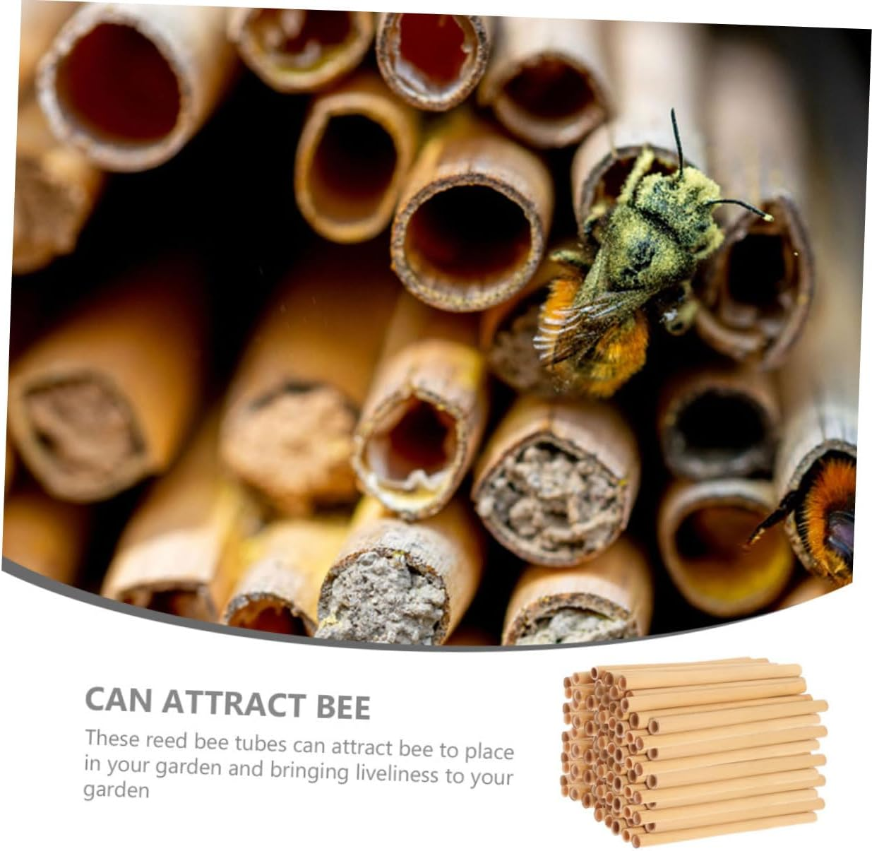 50Pcs Natural Reed Replacement Bee Tubes Nesting Inserts Safe Beekeeping Habitat for Mason Bees Outdoor Garden Pollinator Supplies image number 3