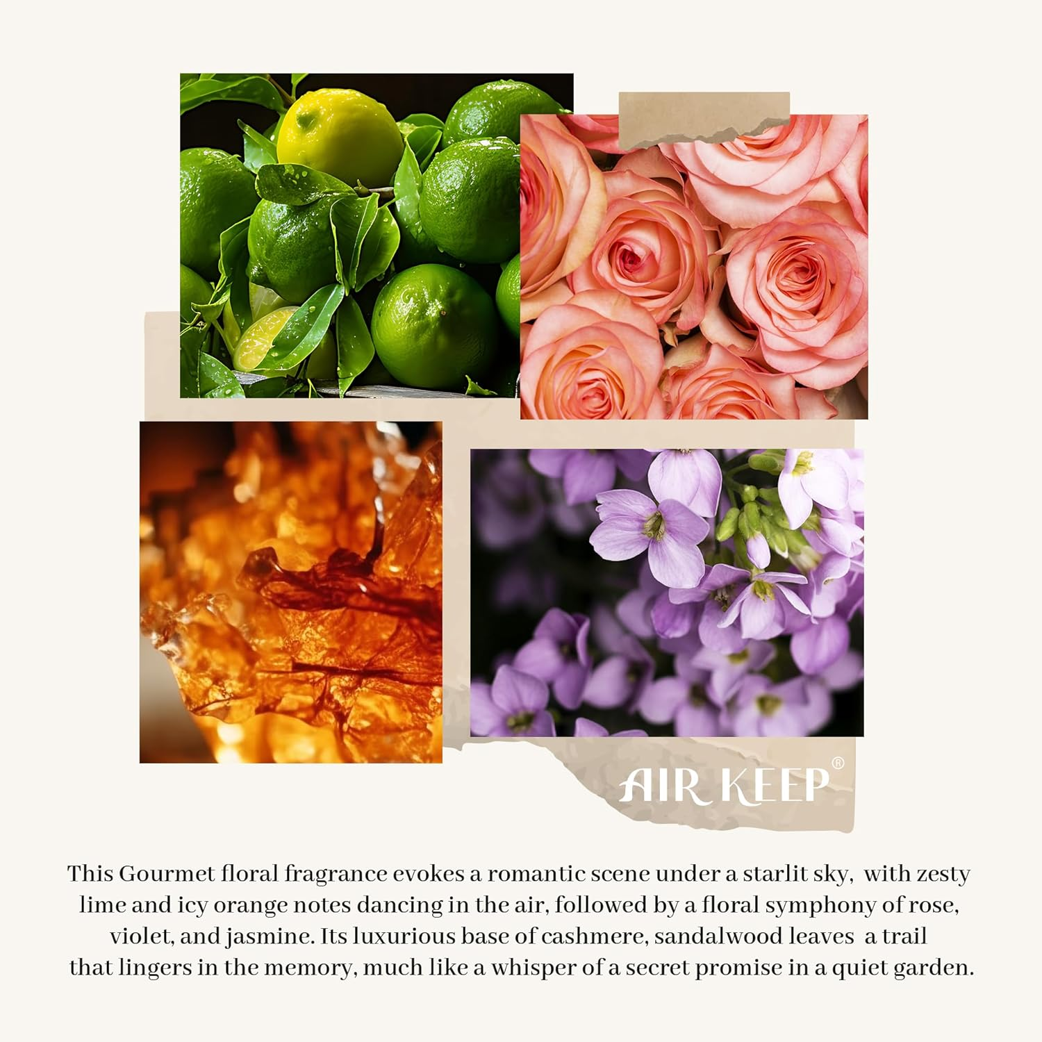 Airkeep Reed Diffuser Set, Cashmere Vanilla Home Fragrance, 100Ml Reed Diffuser with 8 Sticks, for Bathroom & Living Room Decor image number 4