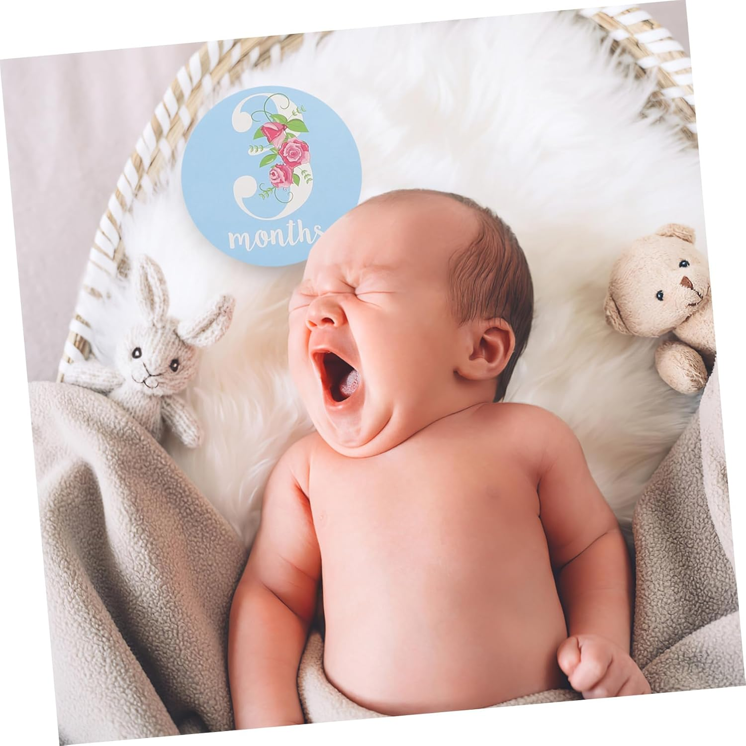 Baby Monthly Milestone Stickers and Newborn Infant Sticker Cards for Photo Props 12Pcs Set for and Scrapbooking image number 6