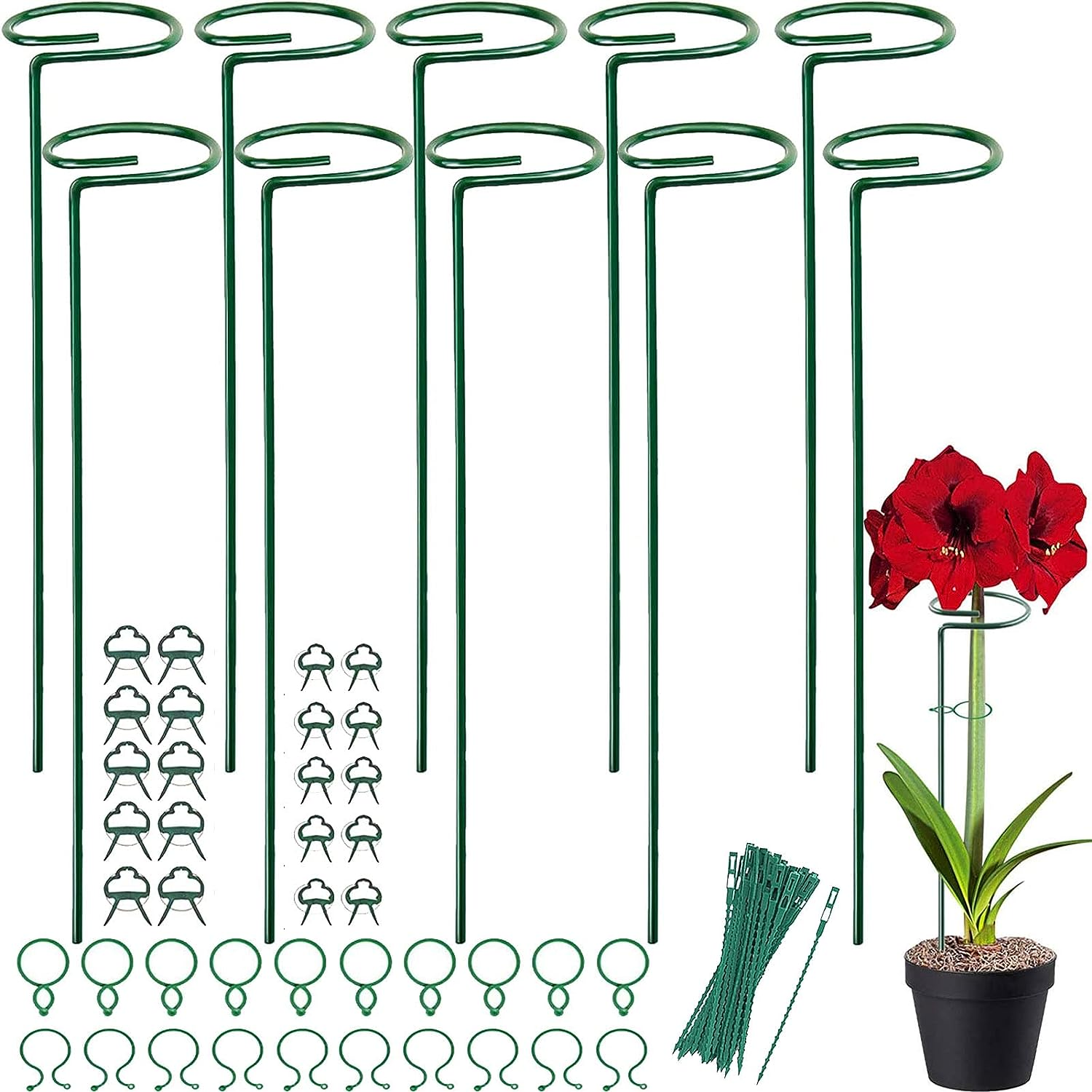 10Pack Plant Support Stakes,15.8In Metal Plant Stakes with 40Pcs Plant Clips and 10Pcs Plant Ties,Single Stem Support Stake Plant Cage Support Ring for Garden Flowers Amaryllis Orchid Tomatoes Peony image number 1