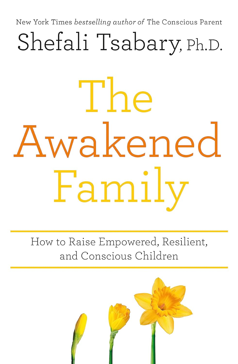 The Awakened Family: How to Raise Empowered, Resilient, and Conscious Children.