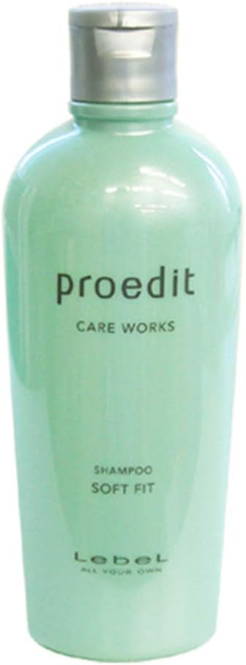 Lebel Proedit Care Works Soft Fit Shampoo 300 Ml image number 2