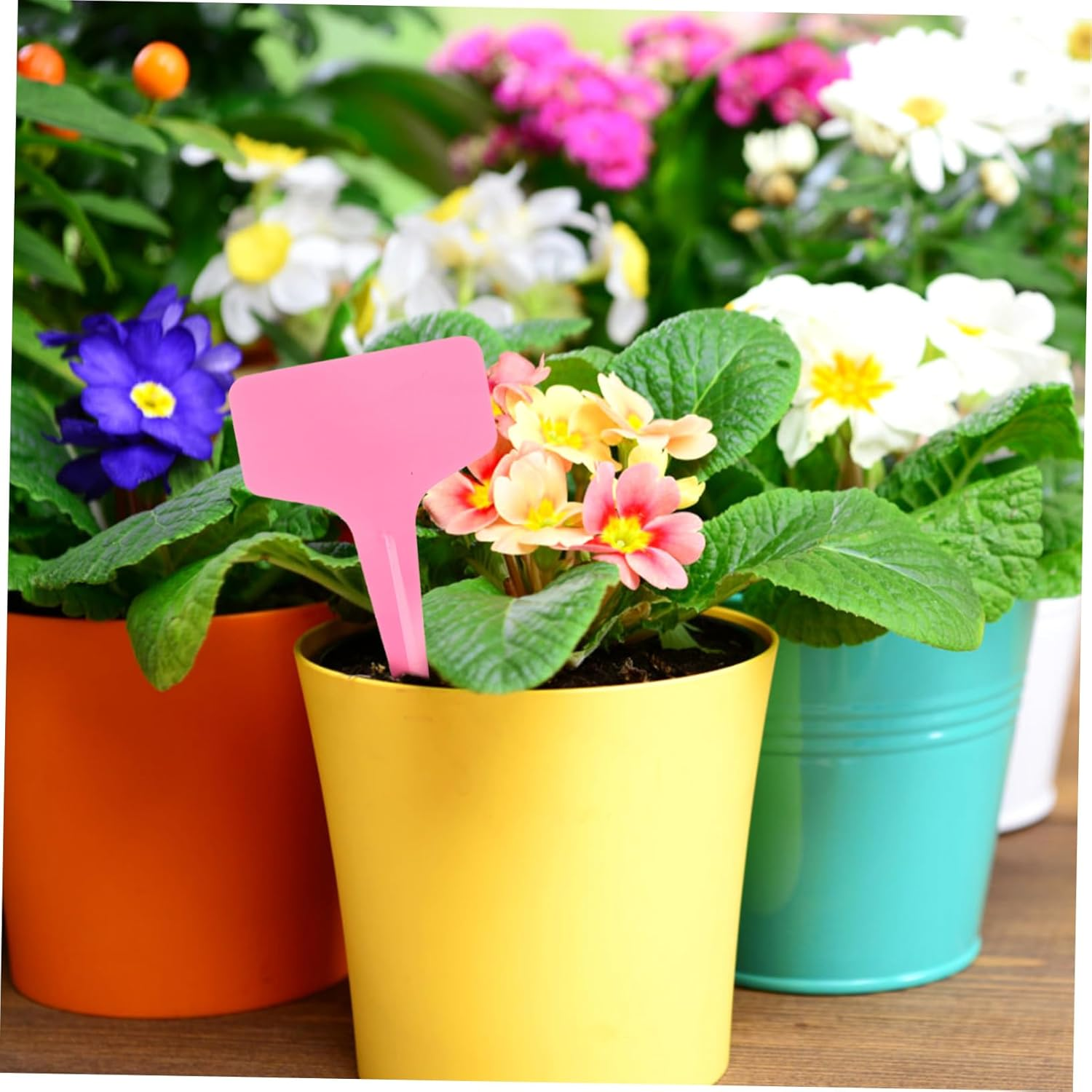 Operitacx 175Pcs Shaped Plastic Flower Ground Labels Flower Bed Insert Tag Labels for Gardening Supplies Plant Distinguish for Outdoor Plant image number 1