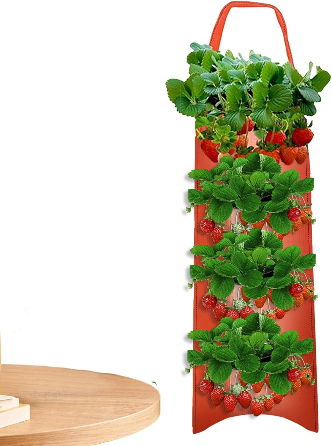 Tomato Planter Bag | Floating Fabric Aeration Pouch with 8 Holes for Planting - Gardening Accessories for Tomatoes, Carrots, Roses, Strawberries, Vegetables