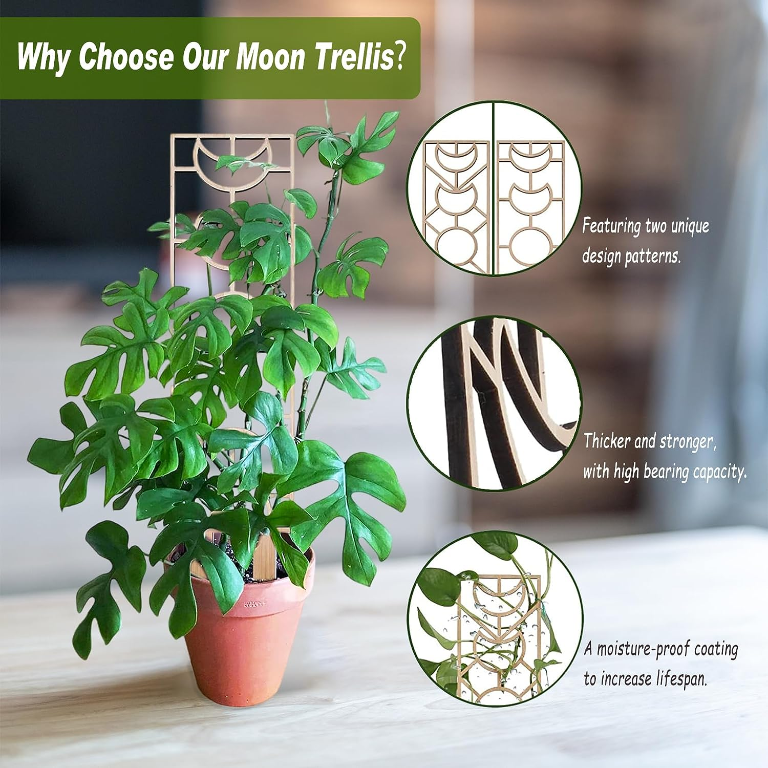 Wooden Plant Trellis, Small Garden Trellis for Climbing Plants Indoor Pot, 2 Pack Moon and Geometric Shape Design with Moisture-Proof Layer, Houseplants Decoration for Vines, Hoya (2Pcs, Au) image number 4