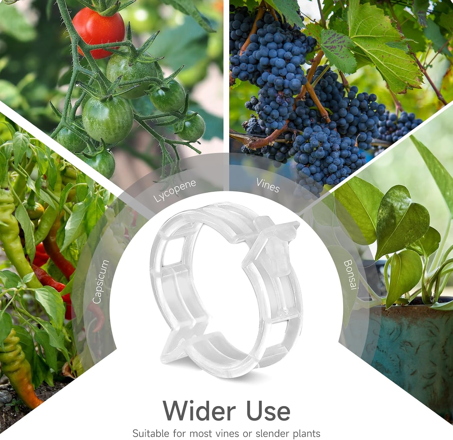 LMXMGRG Plastic Plant Clips Set,Plant Support Clips 100Pcs,2024 Upgrade Plant Vine Clips for Climbing Plants,Tomato,Plant Trellis Clips for Outdoor Makes Plants Healthier image number 6