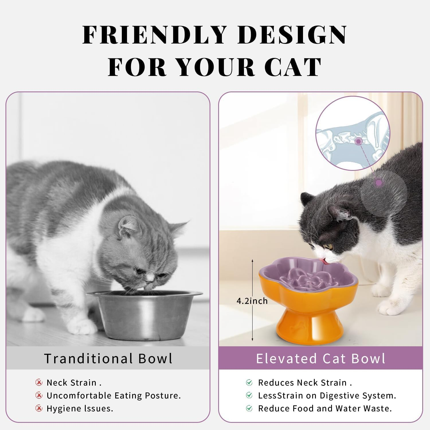 ZHUIYIWIN Sunny Wisteria Anti-Slinging Bowl for Cats, Ceramic Dog Bowl for Cats and Small Dogs image number 3