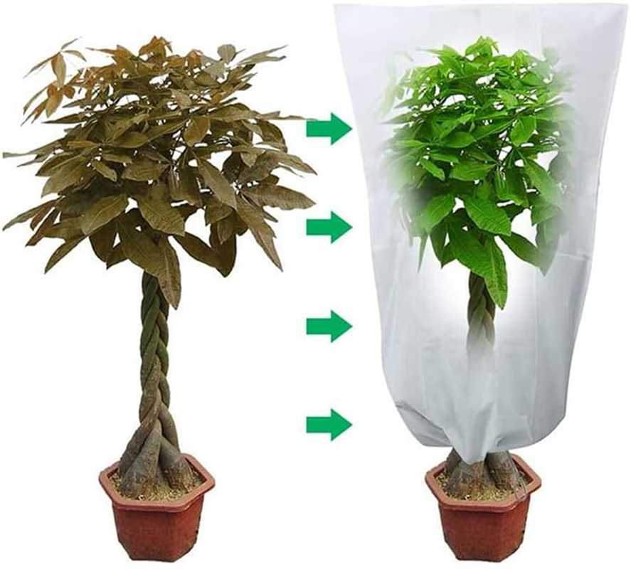 AIMALL Premium Reusable Garden Plant Cover with Drawstring: Frost, Wind, and Hail Protection - Suitable for Shrubs, Trees, and Potted Plants - Durable Non-Woven Fabric Design, 3 image number 4