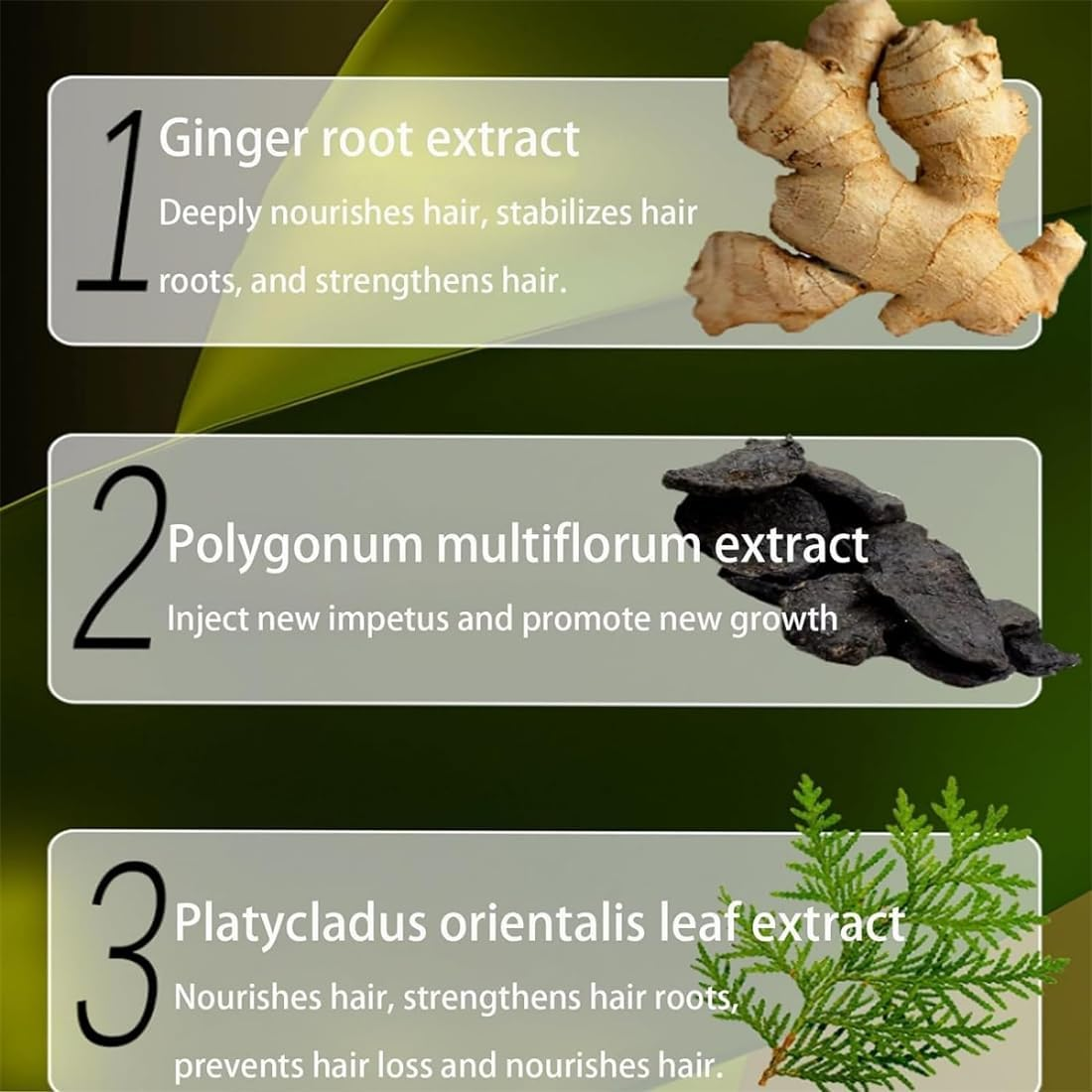 Polygonum Multiflorum Ginger Plant Extract Shampoo, 240Ml Polygonum Multiflorum Oil Control Anti-Dandruff Shampoo, Plant Extract Hair Growth Shampoo