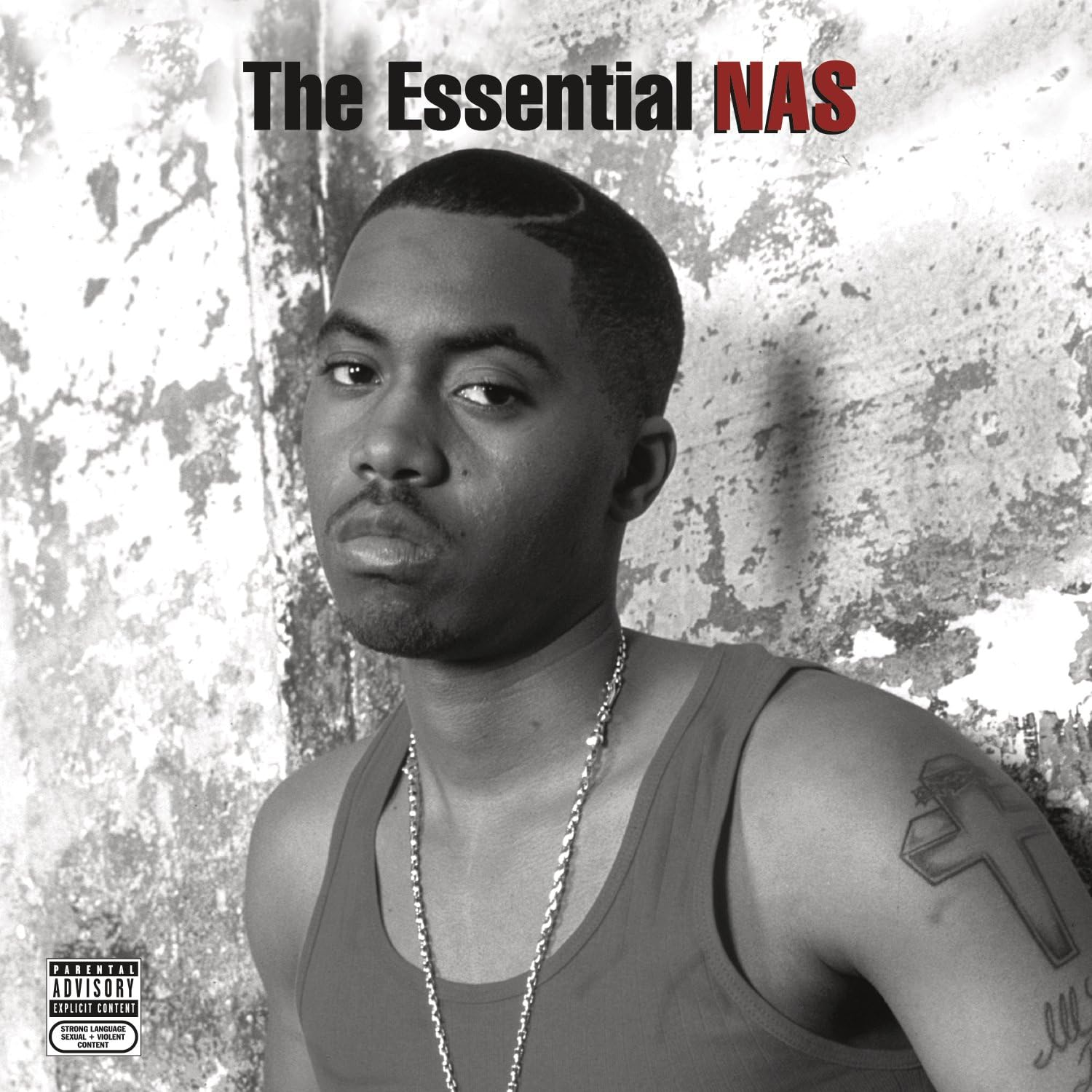 THE ESSENTIAL NAS