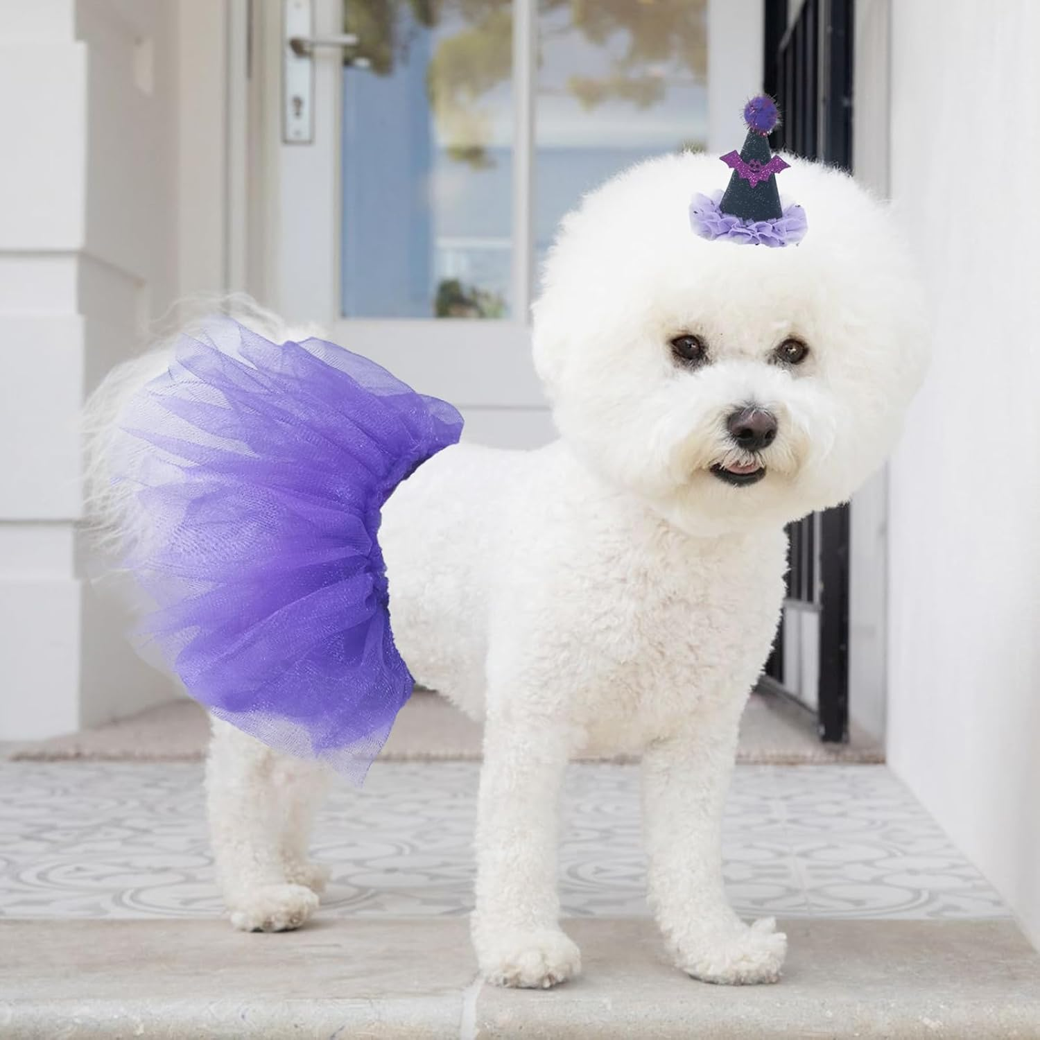 Pet Halloween Costume Set, Purple Witch Hat and Tutu Skirt image number 3