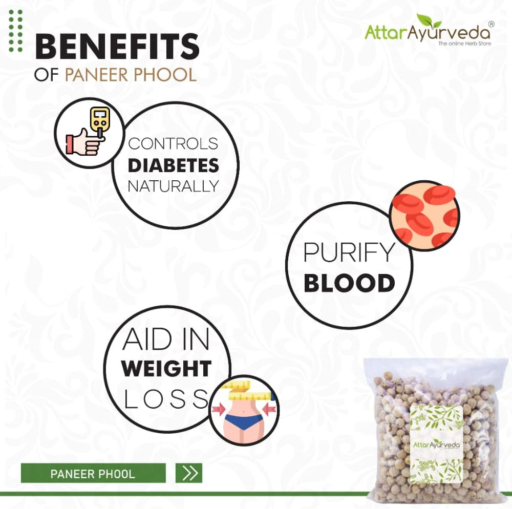 Attar Ayurveda Paneer Phool (400 Grams) | Paneer Doda | Paneer Dodi | Withania Coagulans | Pure and Natural | No Preservatives image number 4