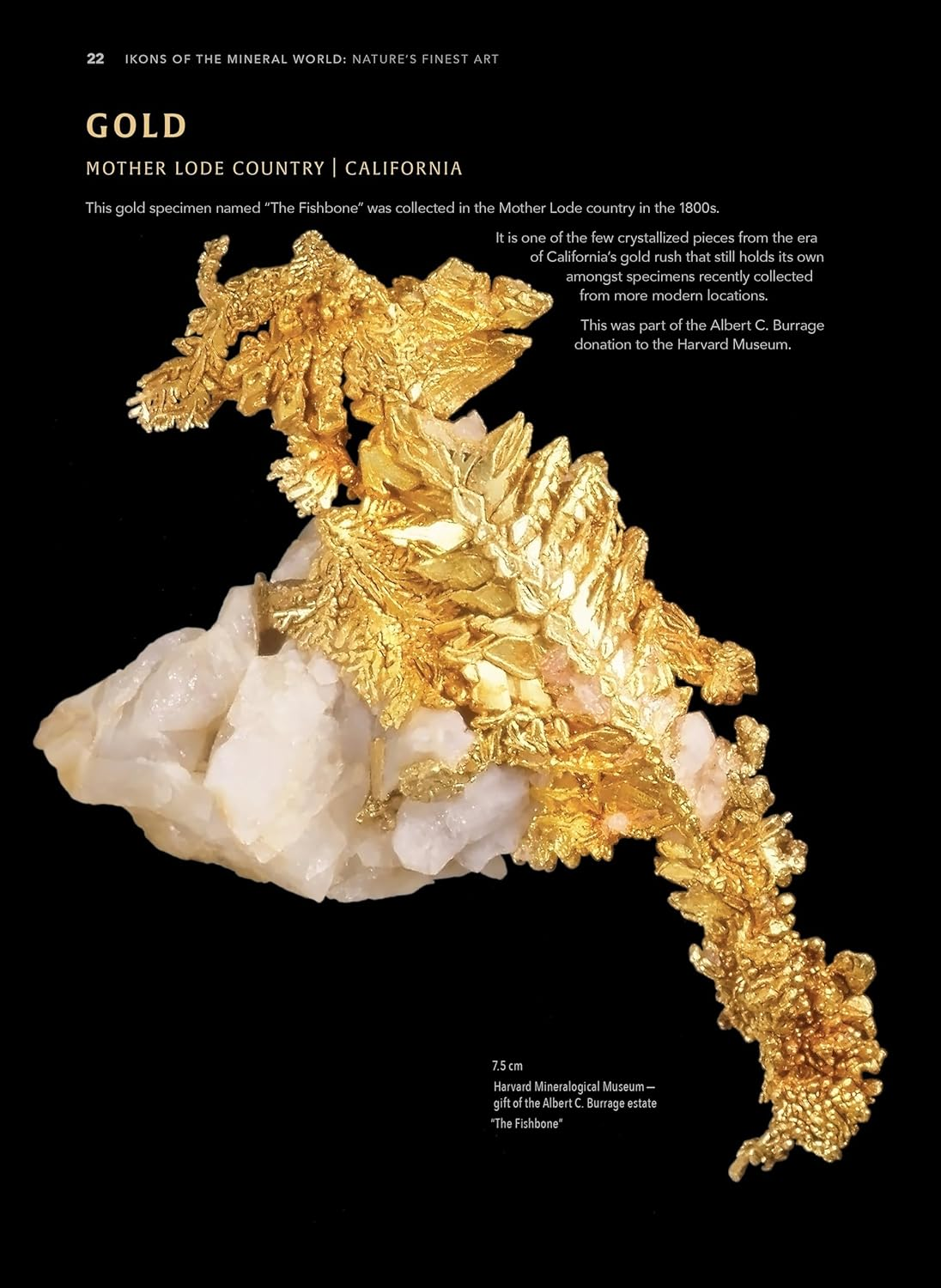 Ikons of the Mineral World: Nature'S Finest Art image number 4