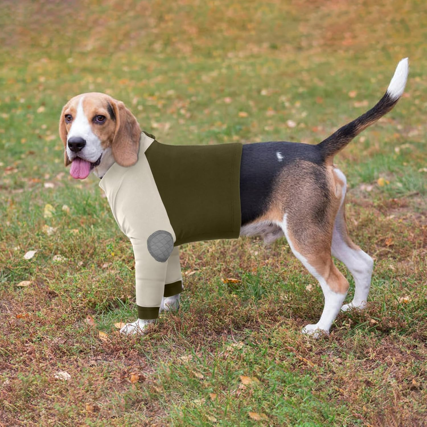 Lelepet Dog Recovery Suit for Front Legs, Dog Sleeve to Stop Licking, Elbow Protector for Leg Injuries Shoulder Wounds after Surgery Male Female,Zippered Long-Sleeved Shirt Cone Alternative(S-3Xl) image number 6