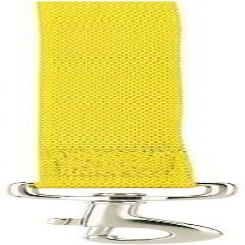 Zack & Zoey Basic Nylon Dog Leash, 4-Feet X 5/8-Inch Lead, Chocolate image number 7