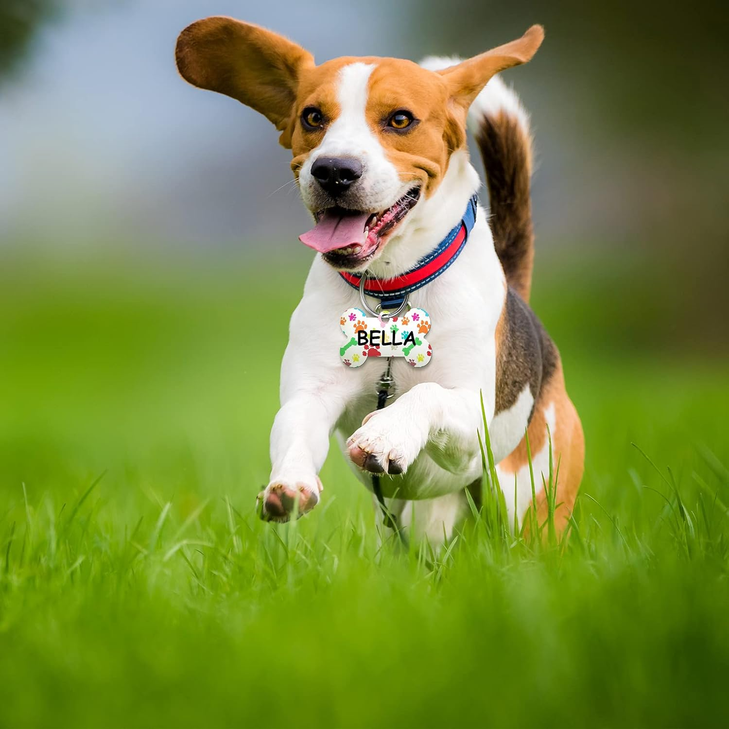 16 Pieces Sublimation Blank Dog Tag Aluminum Dog Tag Bone-Shaped Sublimation Blank Dog Tag Double Sided Dog Tag with Key Ring for Dogs and Cats Pet ID Tag image number 2