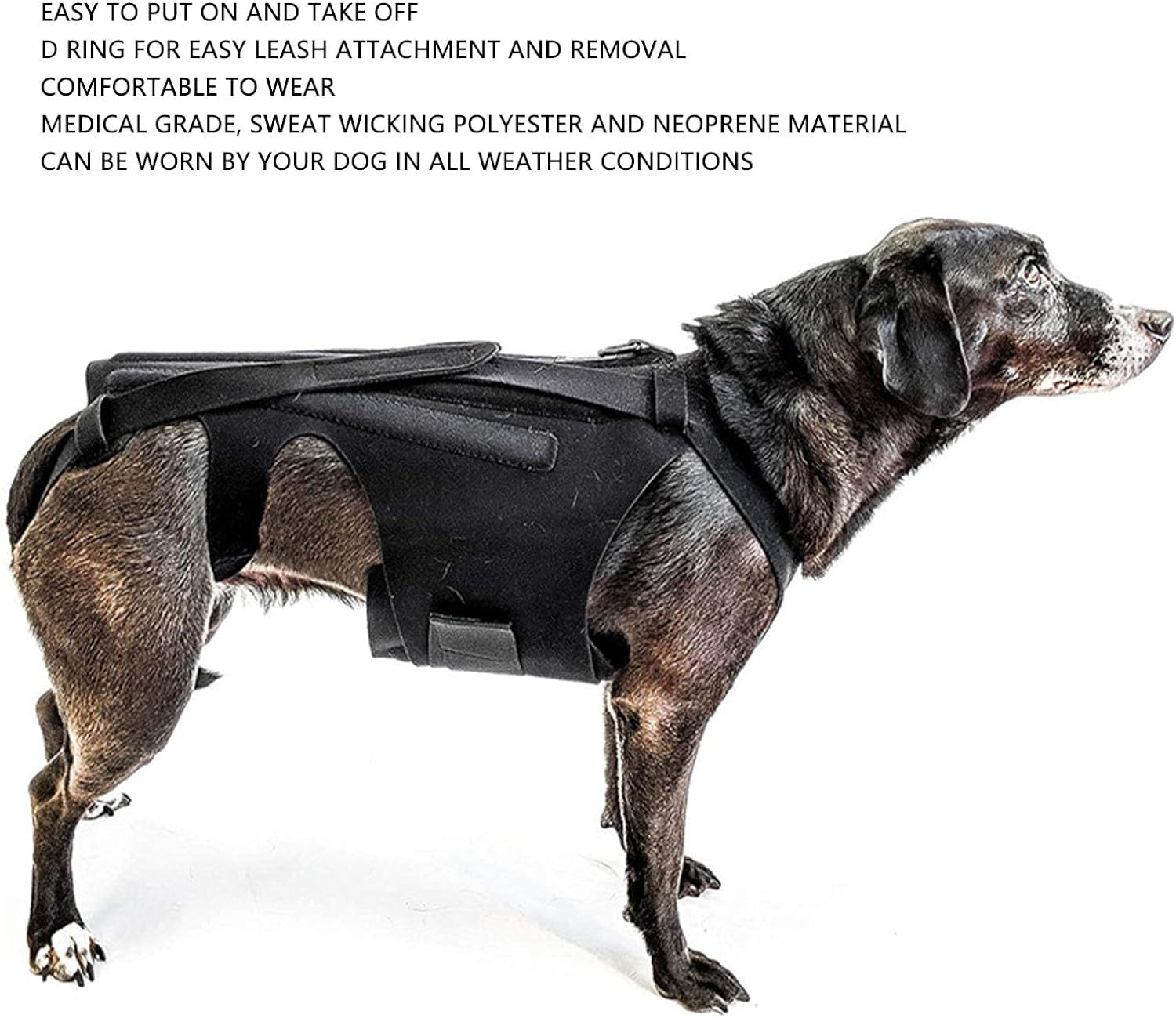 Dog Back Brace, Pet Back Support Vest Back Bracer for Dachshunds, Corgis Et Al Other Dogs IVDD Arthritis, Herniated Disc, Spinal Recovery (S Size) image number 5