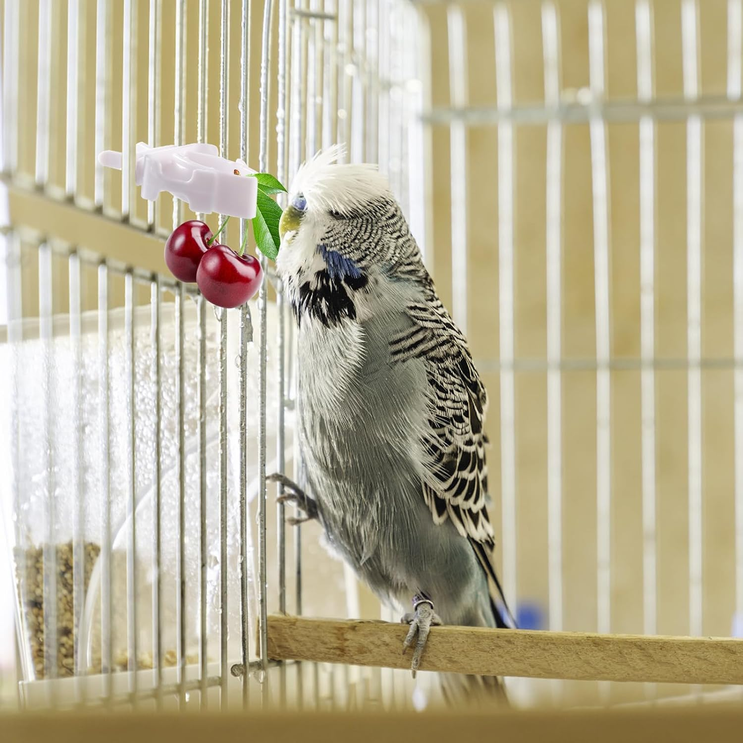 10 Pieces Bird Cage Food Clips Bird Cage Food Holder Parrot Fruit Vegitable Bracket Pet Feeder Clip Accessory for Parakeet Budgie Cockatoo Macaw Cockatiel and Other Animals image number 3