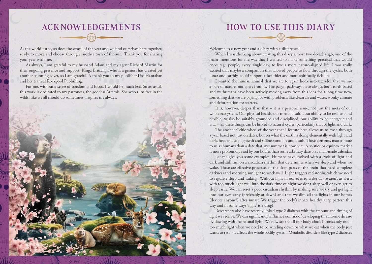 2026 Lunar and Seasonal Diary: Southern Hemisphere image number 2