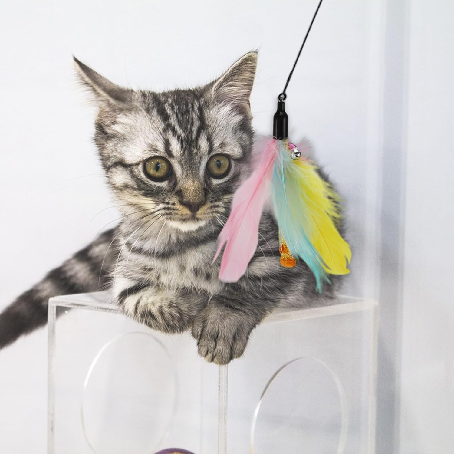 CAPASTEC Pack of 2 Cat Wand Replacement for Pet Interactive, Fluffy Feathers image number 3