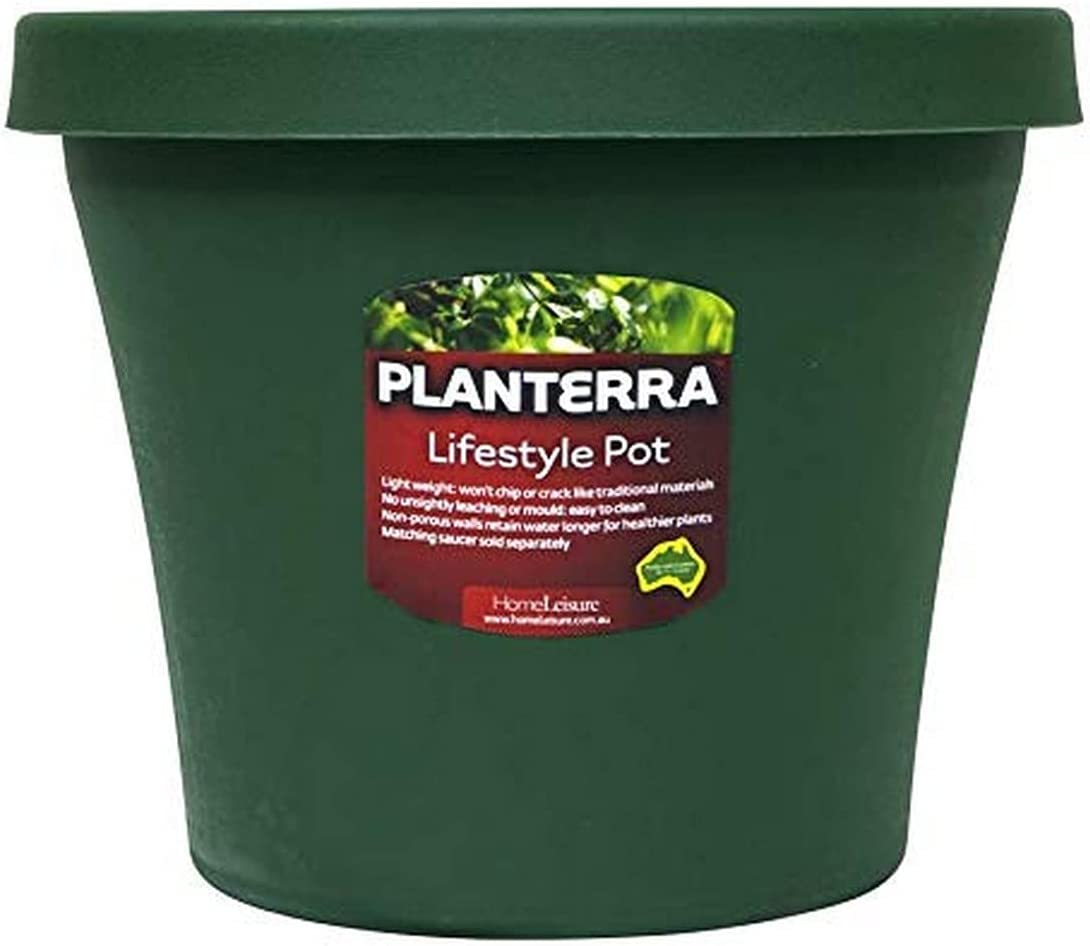 Homeleisure Lifestyle Pots, Green, 250 Mm Length