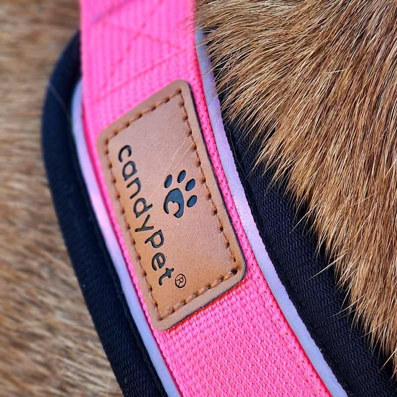 Reflective Y Shaped Dog Harness Ideal for Libreles: Italian Greyhound Whippet Greyhound Podenco - Safe, Breathable and Durable, Perfect for Hiking, Training and Running, Pink, M image number 2