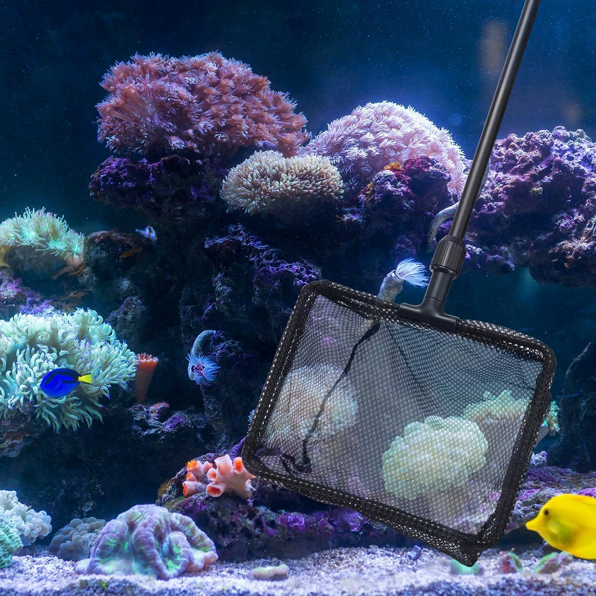 POPETPOP Fish Catching Net- Telescopic Landing Net, Fishing Net Freshwater for Fish Tank Aquarium Lakes Ponds