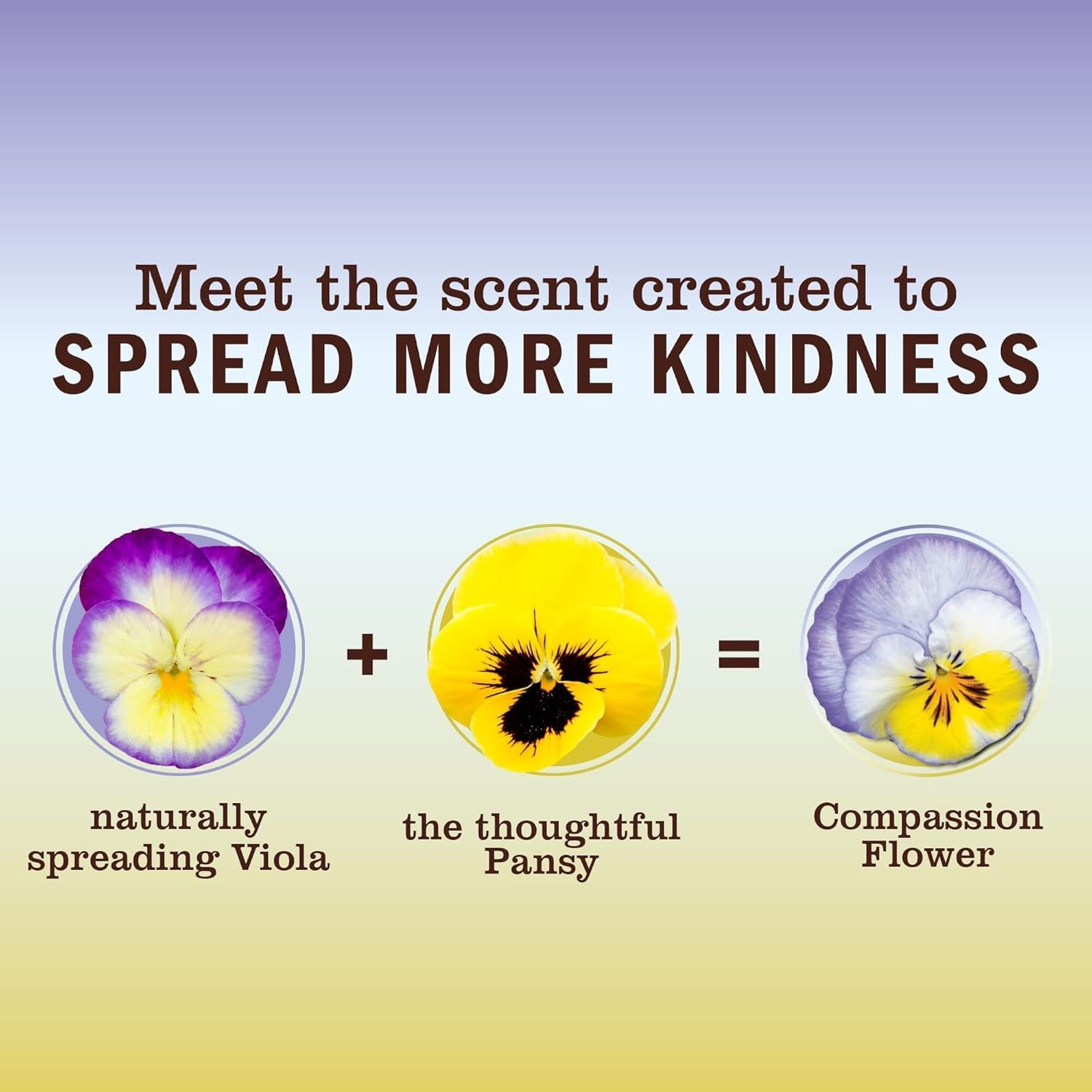 Mrs. Meyer'S Hand Soap, Made with Essential Oils, Biodegradable Formula, Compassion Flower, 12.5 Fl. Oz - Pack of 3 image number 3