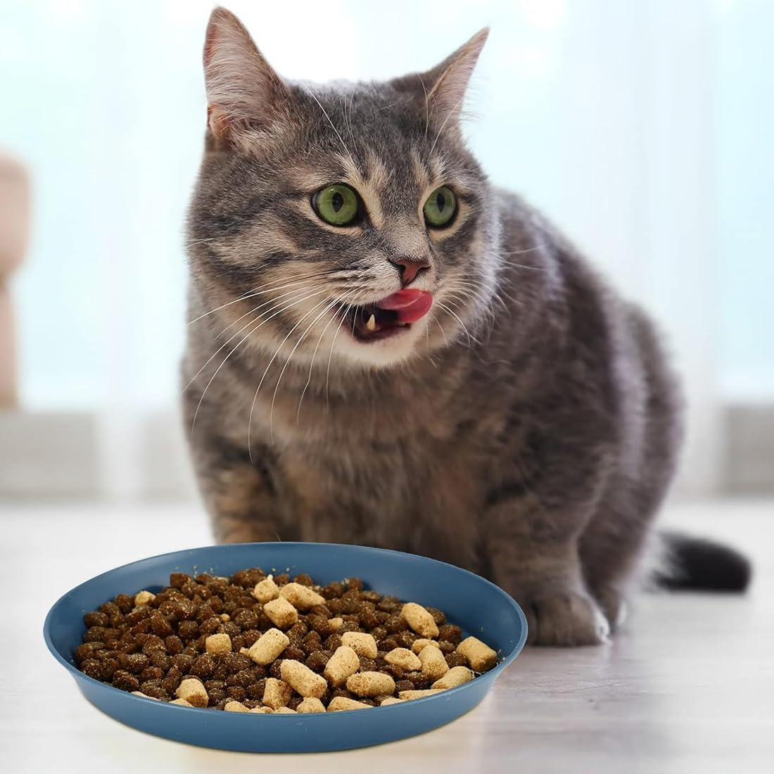 Weddhuis Pack of 4 Flat Cat Bowls, Feeding Bowls, Cat Food Bowls, Cat Bowls, Cat Bowls, Cat Bowls, Cat Bowls, Cat Bowl for Kittens and Short-Legged Cats image number 5