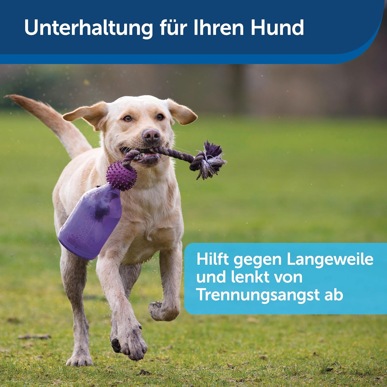 Petsafe Busy Buddy Tug-A-Jug Interactive Meal Dispensing Dog Toy, X-Small image number 3