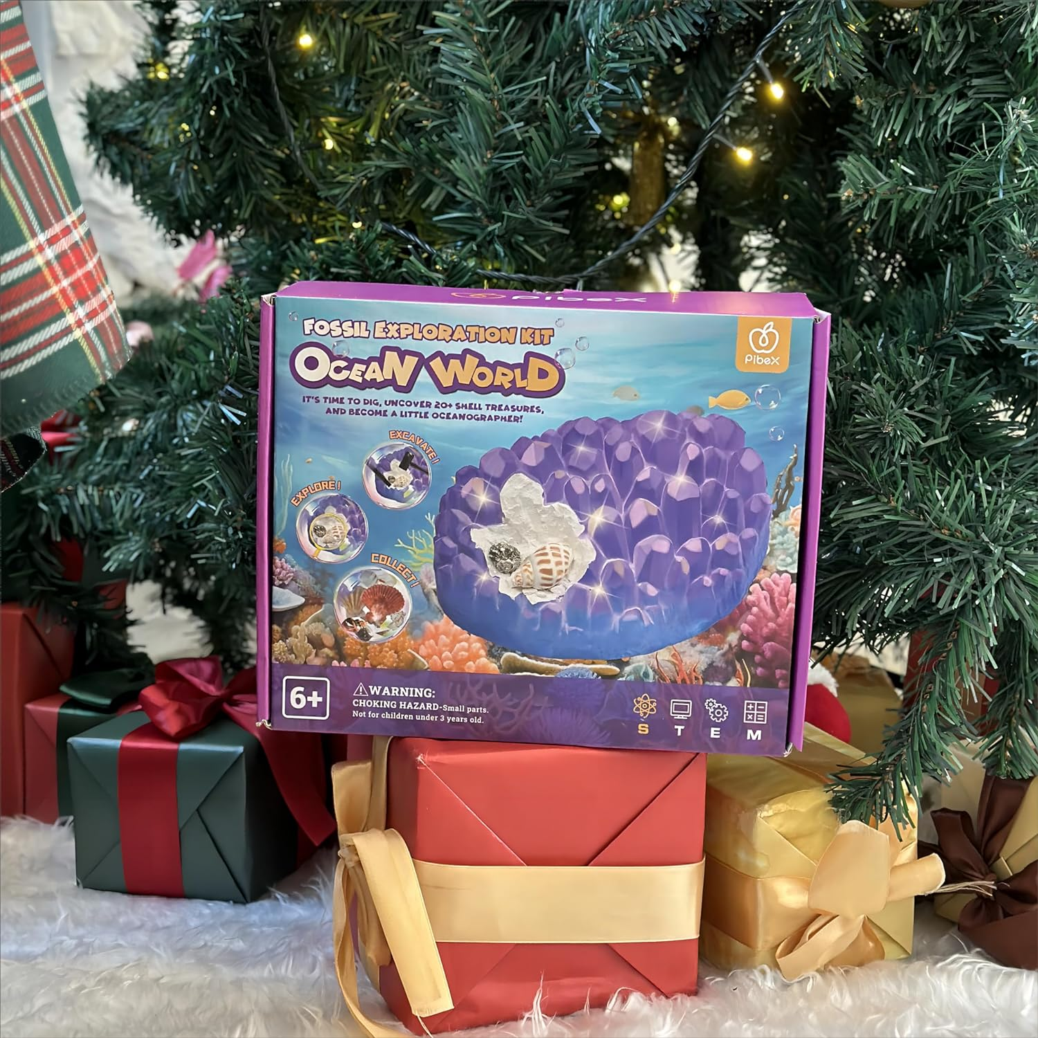 PIBEX Ocean Fossil Dig Kit, Dig up 20+ Real Shells & Seasnails, STEM Educational Activity Set Sea Creatures Excavation Toy for Kids, Marine Biology Geology Science Kit, Toy for Boys and Girls Age 6+ image number 4