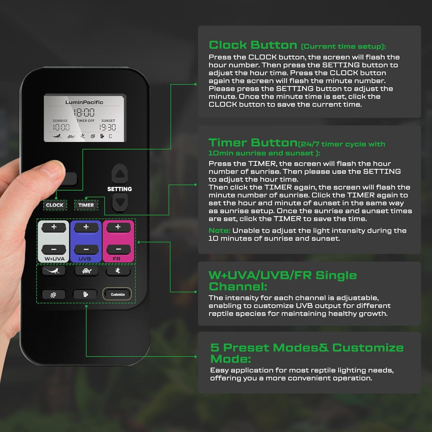 Luminpacific LED Reptiles Light with Remote, UVA UVB FR Lamp for Rainforest & Desert Reptiles, Ferguson Zones 1-4, Timer Switch, 10 Dimmable, for Bearded Dragon, Turtle, Frog, Snake, Plant (2 Pack) - 2 Pack image number 2