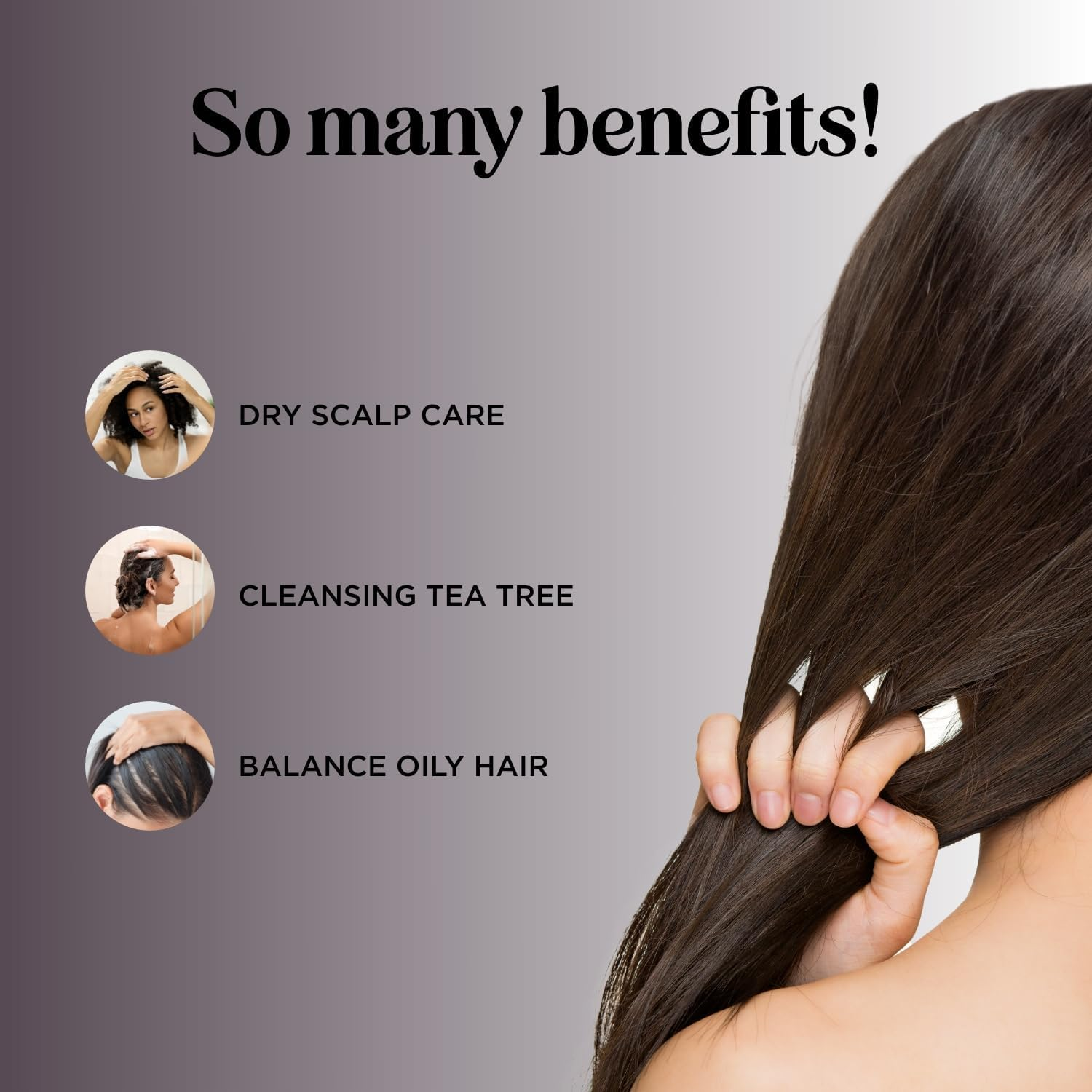 Maple Holistics Tea Tree Oil Shampoo - Pure and Natural for Women and Men - anti Dandruff Haircare - Safe for Color Treated Hair - Usa Made By image number 2