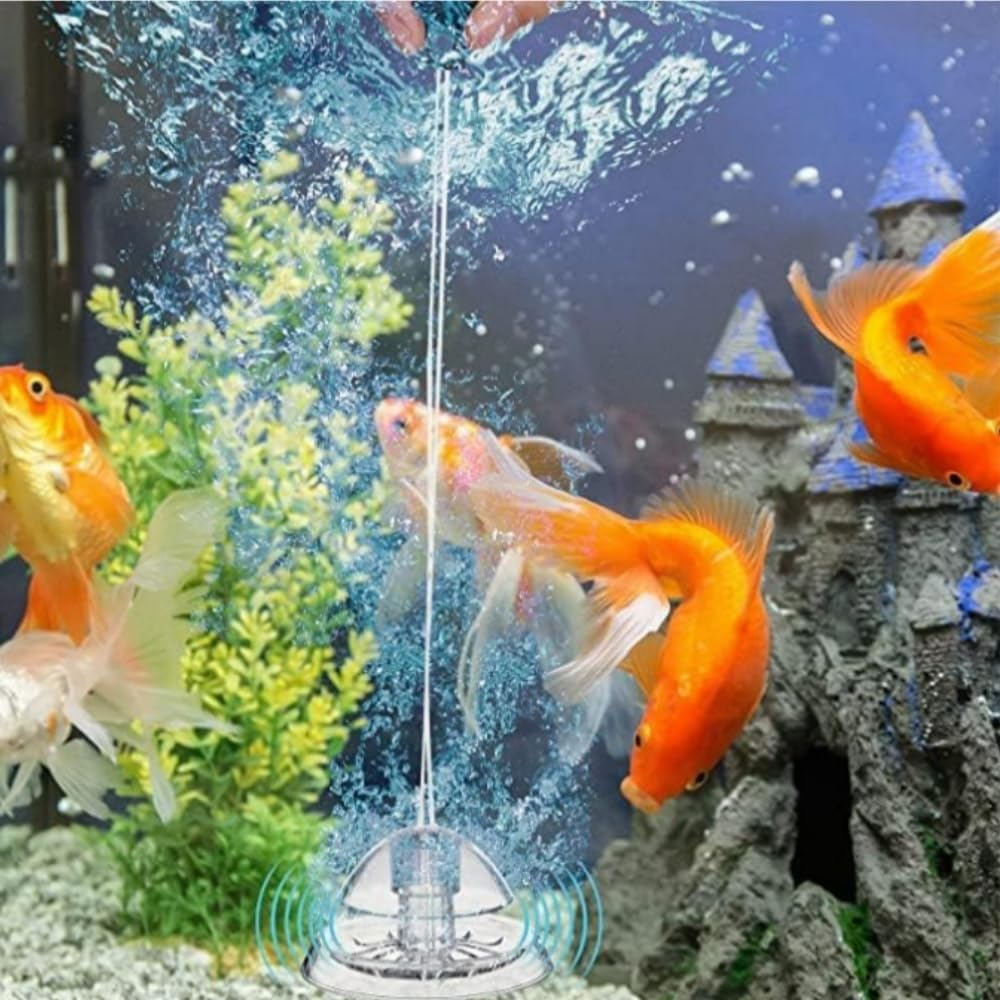 Transparent Snail Catcher for Fish Tank, 2Pcs Aquarium Snail Trap, Trap for Tiny Snails, Use for Freshwater Aquariums (Transparent)