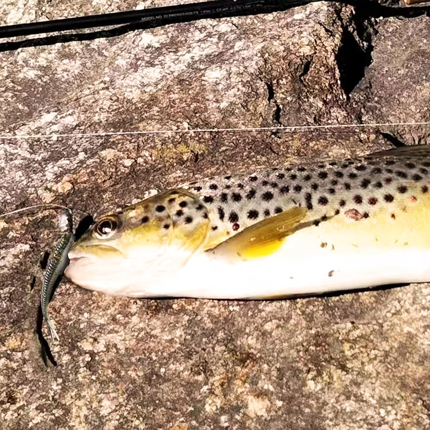 Keencatch Soft Plastic Swimbait with Jighead, Fishing Lure for Flathead Trevally Estuary Perch Bass Trout Snapper, Fluke Bait Minnow 40PCS 7Cm/2.76'', Jerk Shad for Saltwater/Freshwater image number 2