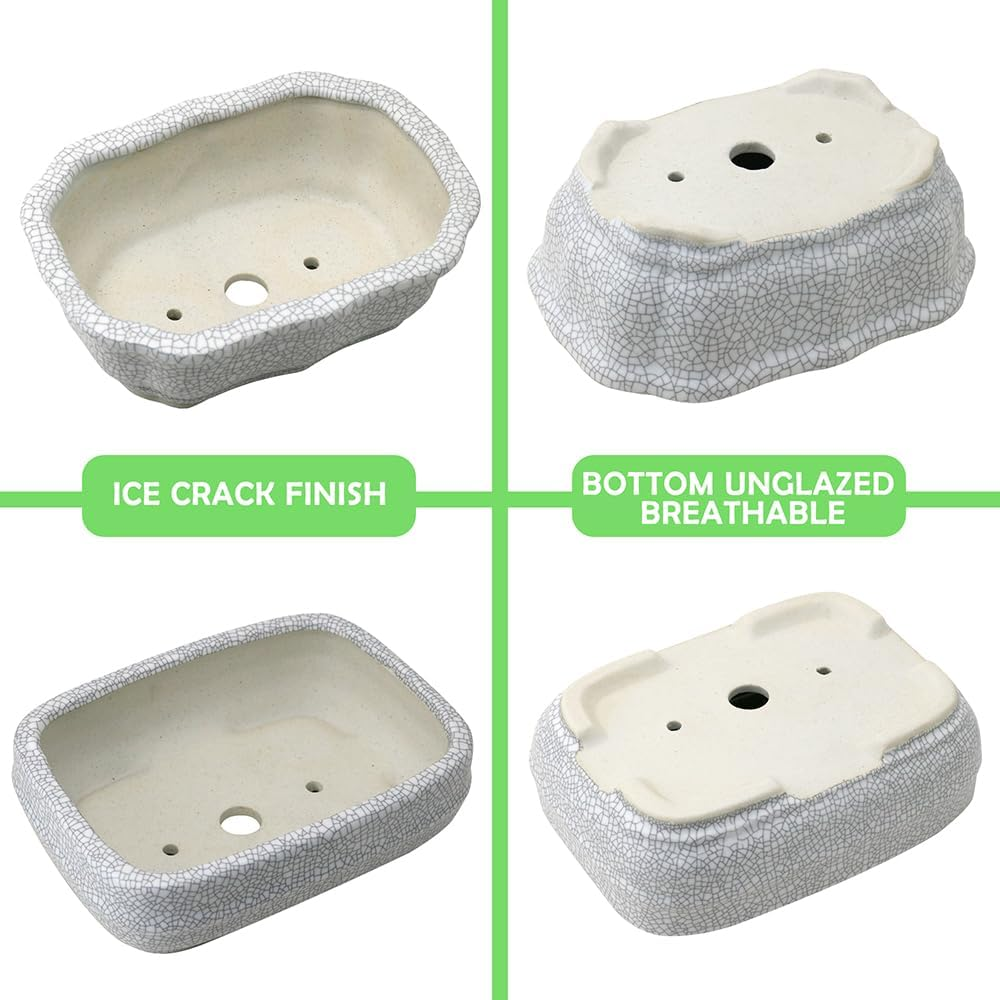 MUZHI 2 Pack Amazing Ice Crack Glazed Ceramic Bonsai Pot White Color 5.8 Inch with Bamboo Tray, Plant Pot Succulent Planter for Office Home Garden Decor Gift image number 2