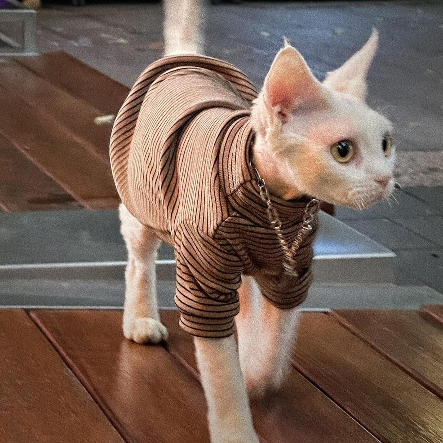 UOSIA Sphynx Cat Clothes Cat Sweaters for Cats Only Hairless Cat Pajamas Turtleneck Kitten Onesie Thermal Small Cat Soft Pullover for Sphynx, Devon, Cornish image number 6