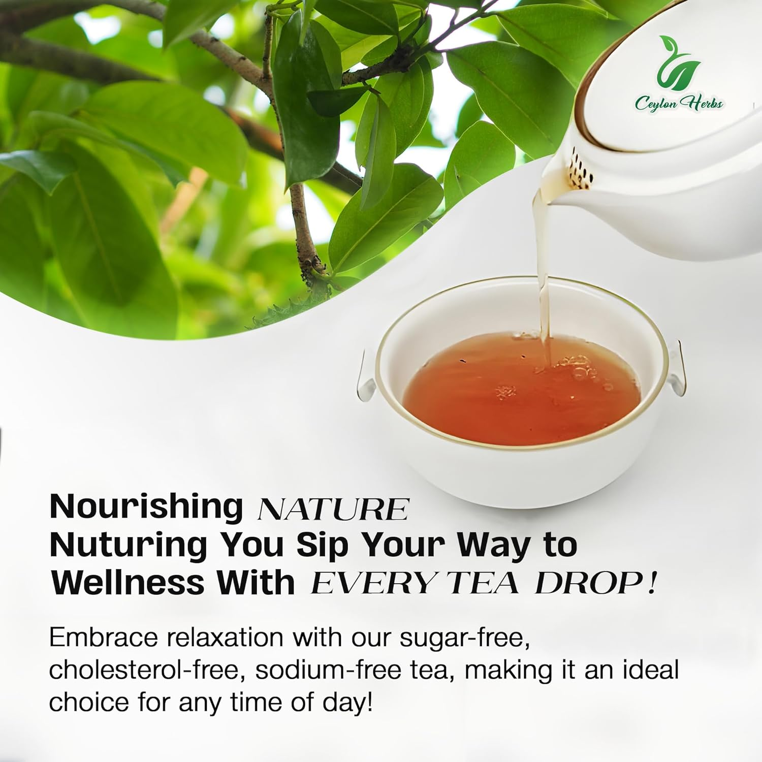 Top 50 Soursop Graviola Leaves Tea Bags, Pure, Organic, Non-Gmo, Handmade, Made with Natural Materials- Biodegradable Tea Bag, Made of 100% Soursop Leaf image number 6