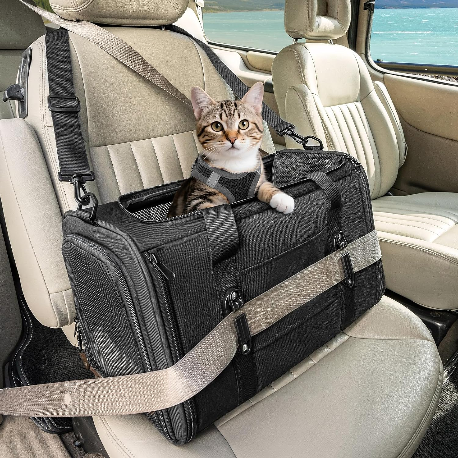 Petsfit Pet Carrier (Greatly Improved Stability) Carry Bag, for Cats, Puppies, Small Dogs, Rabbits, Foldable, Breathable, for Car Riding, Prevents Shape Shape, for Cars, Driving, Hospitalization,