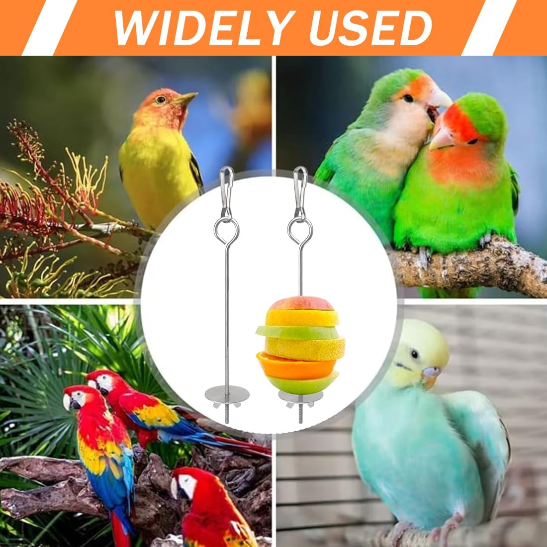 Bird Bowls 2 Pieces Parrot Bird Skewers Stainless Steel Fruit Vegetable Food Stand Stainless Steel Bird Feeder for Parrot